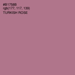 #B1758B - Turkish Rose Color Image