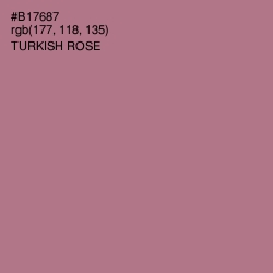 #B17687 - Turkish Rose Color Image