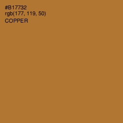 #B17732 - Copper Color Image