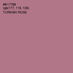 #B17788 - Turkish Rose Color Image