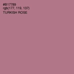 #B17789 - Turkish Rose Color Image