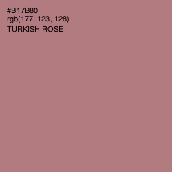 #B17B80 - Turkish Rose Color Image