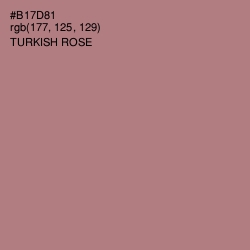 #B17D81 - Turkish Rose Color Image