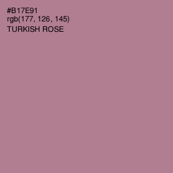 #B17E91 - Turkish Rose Color Image