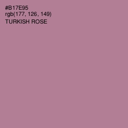 #B17E95 - Turkish Rose Color Image