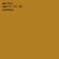 #B17F21 - Copper Color Image