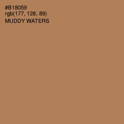 #B18059 - Muddy Waters Color Image