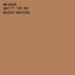 #B1805A - Muddy Waters Color Image