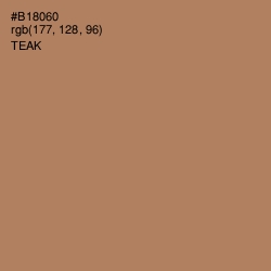 #B18060 - Teak Color Image