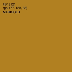 #B18121 - Marigold Color Image