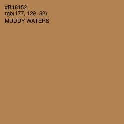 #B18152 - Muddy Waters Color Image