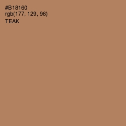 #B18160 - Teak Color Image