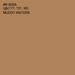 #B1835A - Muddy Waters Color Image