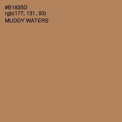 #B1835D - Muddy Waters Color Image