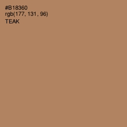 #B18360 - Teak Color Image