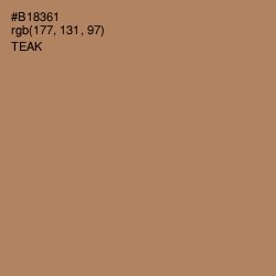 #B18361 - Teak Color Image