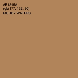 #B1845A - Muddy Waters Color Image