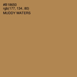 #B18650 - Muddy Waters Color Image