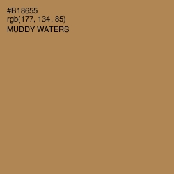 #B18655 - Muddy Waters Color Image