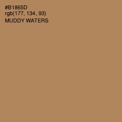 #B1865D - Muddy Waters Color Image