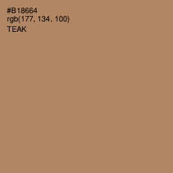 #B18664 - Teak Color Image