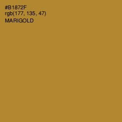 #B1872F - Marigold Color Image