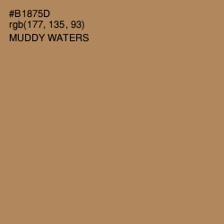 #B1875D - Muddy Waters Color Image