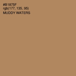 #B1875F - Muddy Waters Color Image