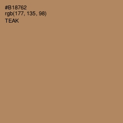 #B18762 - Teak Color Image