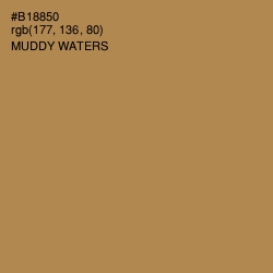 #B18850 - Muddy Waters Color Image