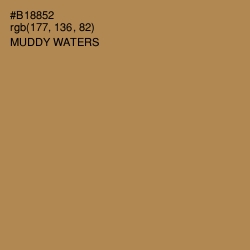 #B18852 - Muddy Waters Color Image