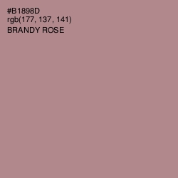 #B1898D - Brandy Rose Color Image