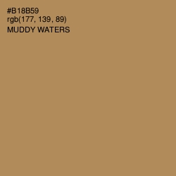 #B18B59 - Muddy Waters Color Image