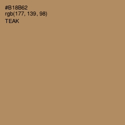 #B18B62 - Teak Color Image