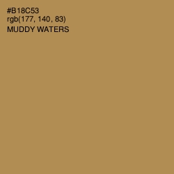 #B18C53 - Muddy Waters Color Image