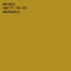 #B18E21 - Marigold Color Image