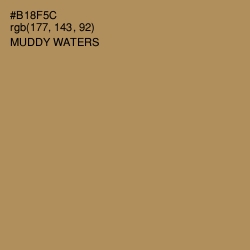 #B18F5C - Muddy Waters Color Image