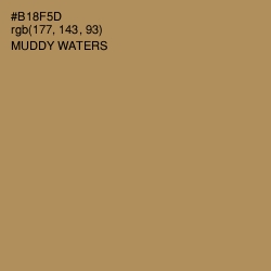 #B18F5D - Muddy Waters Color Image