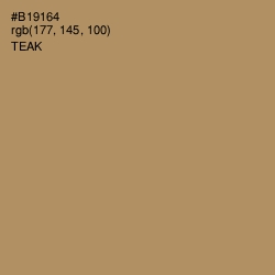 #B19164 - Teak Color Image