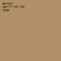 #B19167 - Teak Color Image