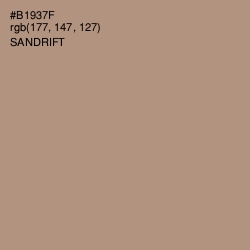 #B1937F - Sandrift Color Image