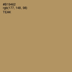 #B19462 - Teak Color Image