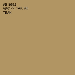 #B19562 - Teak Color Image