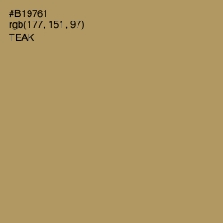 #B19761 - Teak Color Image