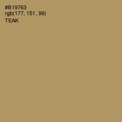 #B19763 - Teak Color Image