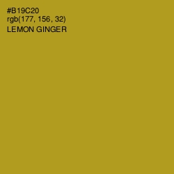 #B19C20 - Lemon Ginger Color Image