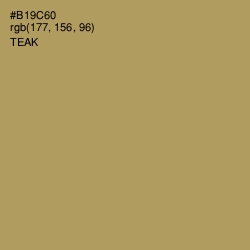 #B19C60 - Teak Color Image