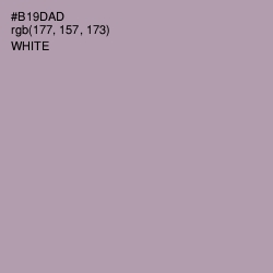 #B19DAD - Amethyst Smoke Color Image