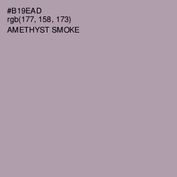 #B19EAD - Amethyst Smoke Color Image