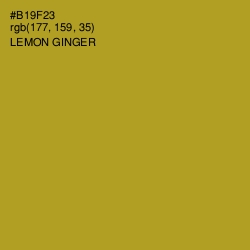 #B19F23 - Lemon Ginger Color Image